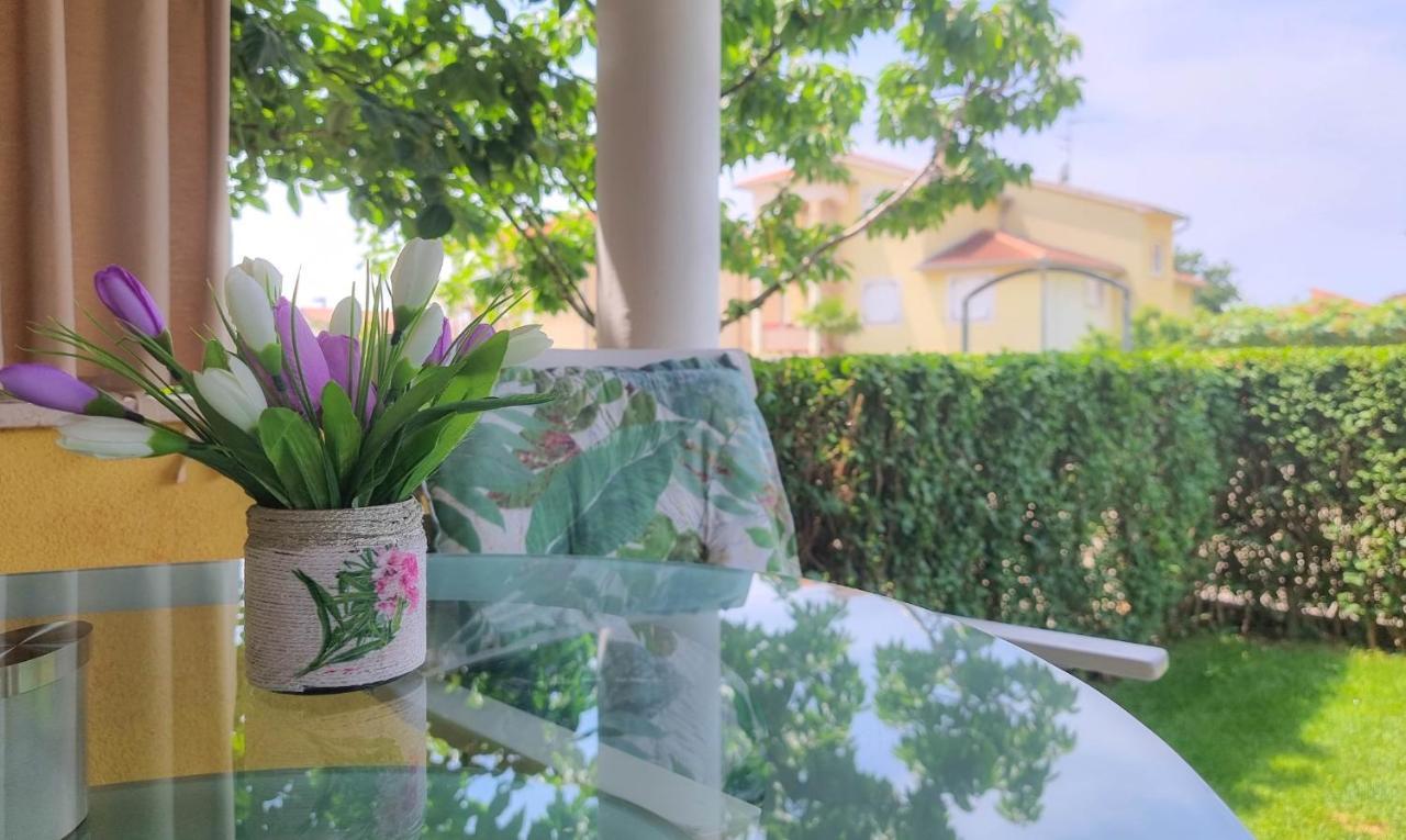 Roko Apartment Novigrad Istria Exterior foto