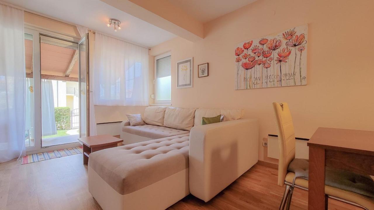 Roko Apartment Novigrad Istria Exterior foto
